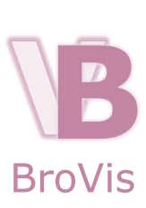 BroVis IT